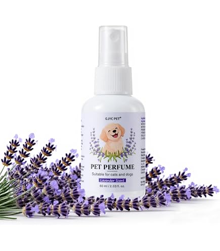 Amazon.co.jp: ドルチェ＆ガッバーナ フェフェミスト（犬用） 100mL